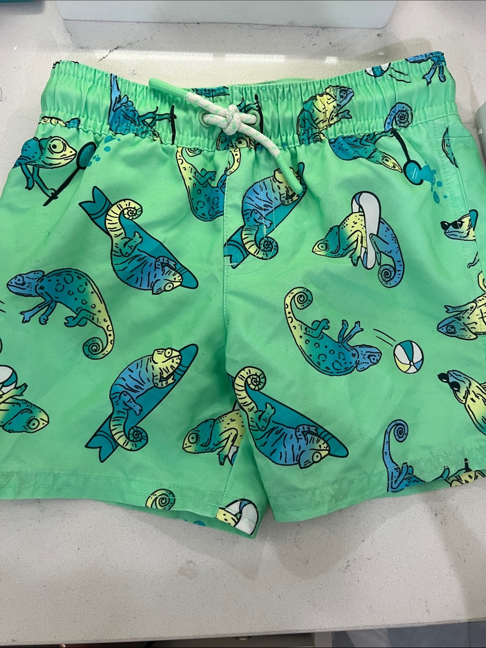Cat & Jack Mint Green Chameleon Print Swim Shorts